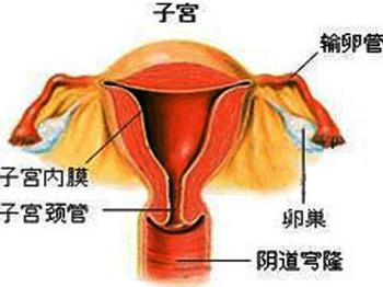 引发卵巢囊肿的常见原因