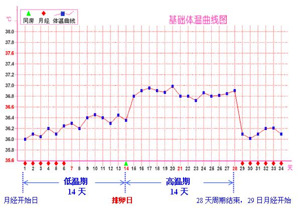 虽然女性的排卵期一般在下次月经来潮前的14天左右,但是想要正确计算